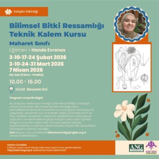Bilimsel Bitki Ressamlığı Teknik Kalem Kursu - Maharet Sınıfı