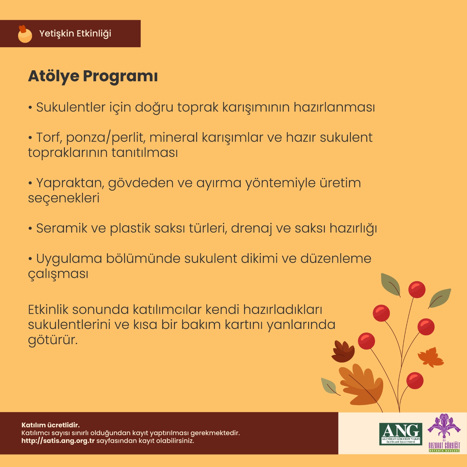 Etli Bitkiler (Sukulent) Atölyesi - Görsel 2