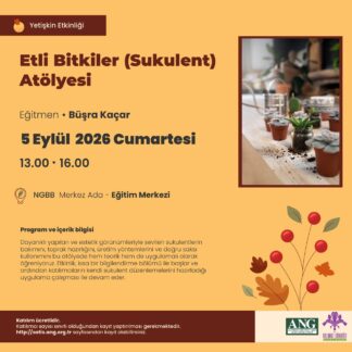 Etli Bitkiler (Sukulent) Atölyesi