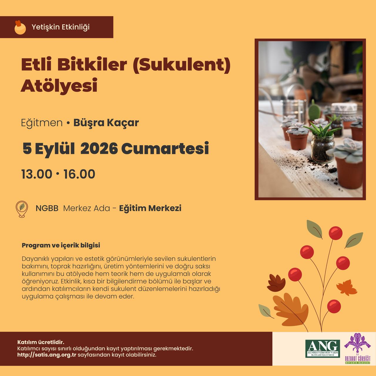 Etli Bitkiler (Sukulent) Atölyesi