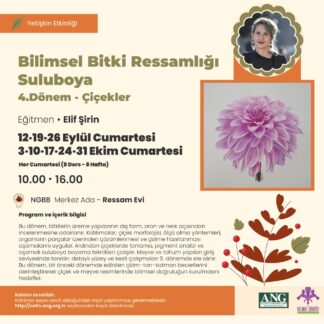 Bilimsel Bitki Ressamlığı – Suluboya  4. Dönem – Çiçekler