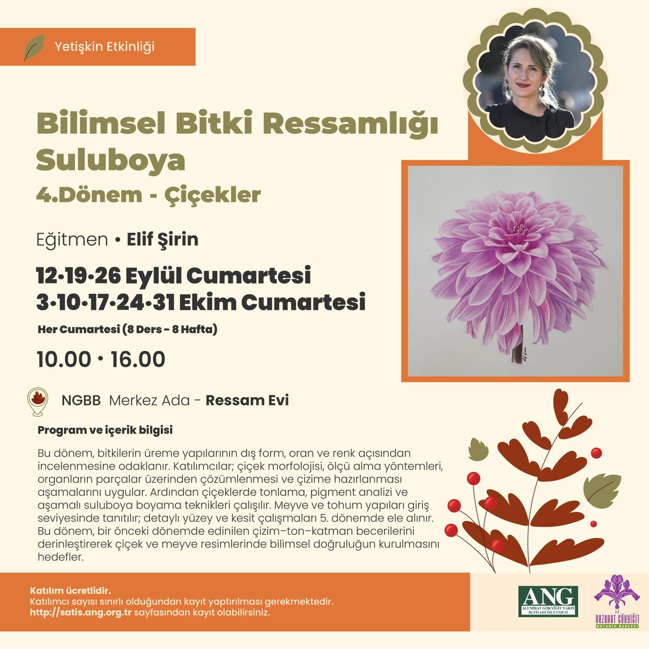 Bilimsel Bitki Ressamlığı – Suluboya 4. Dönem – Çiçekler