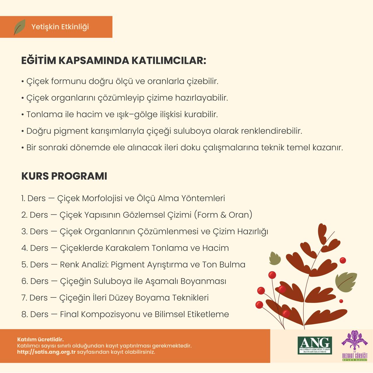 Bilimsel Bitki Ressamlığı – Suluboya 4. Dönem – Çiçekler - Görsel 3