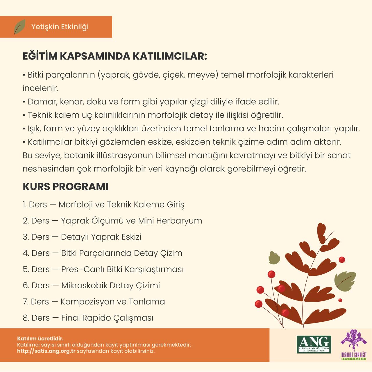 Bilimsel Bitki Ressamlığı Temel Teknik Kalem Kursu - Görsel 2