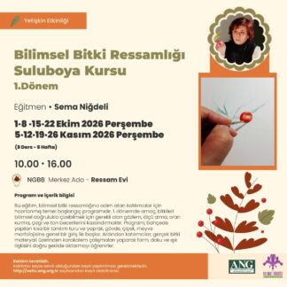 Sulu Boya 1. Dönem— Morfoloji, Temel Ölçü, Karakalem, Suluboya Giriş 1