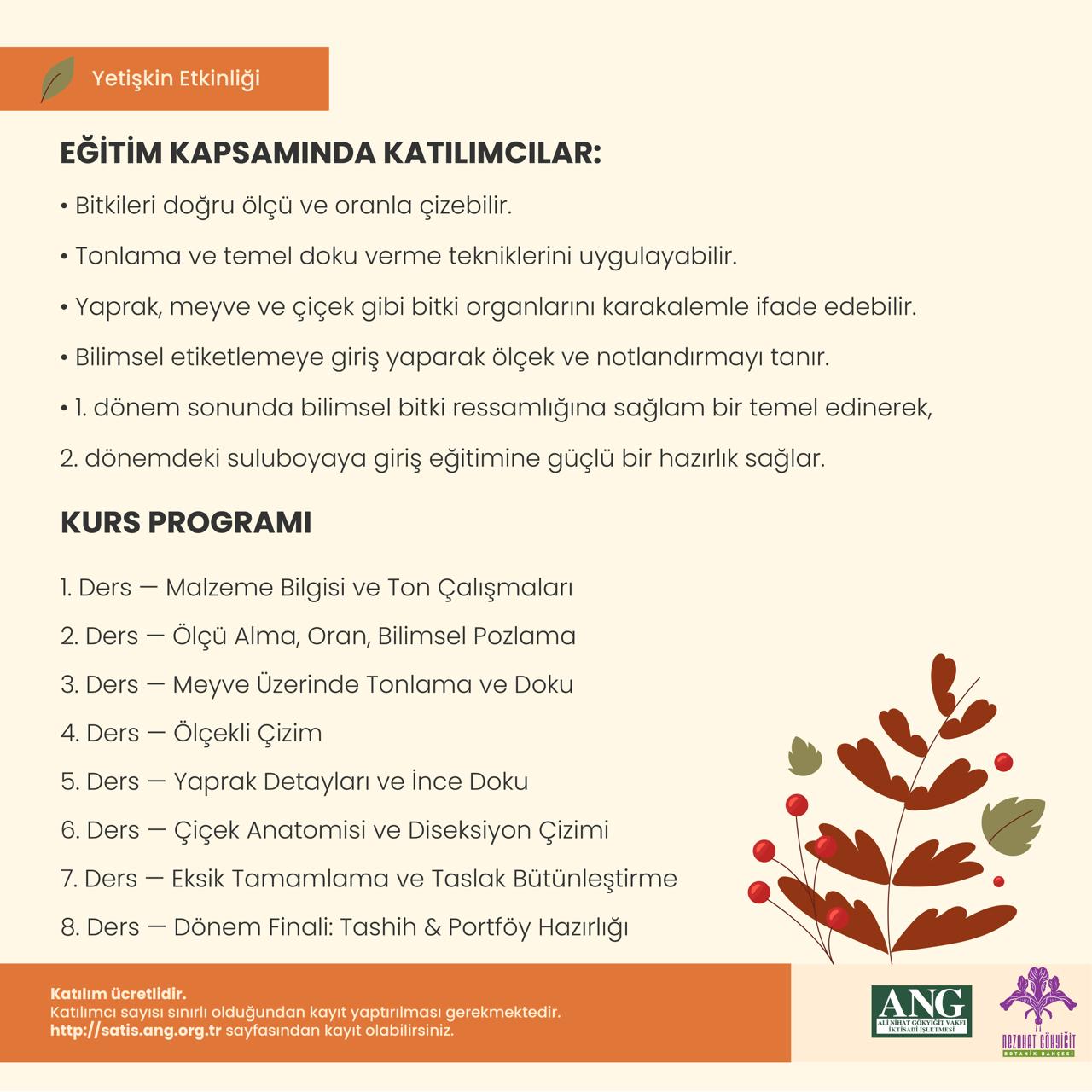 Sulu Boya 1. Dönem— Morfoloji, Temel Ölçü, Karakalem, Suluboya Giriş 1 - Görsel 2