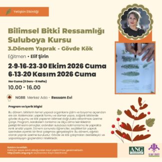Bilimsel Bitki Ressamlığı Sulu Boya 3. Dönem — Yaprak Gövde Kök