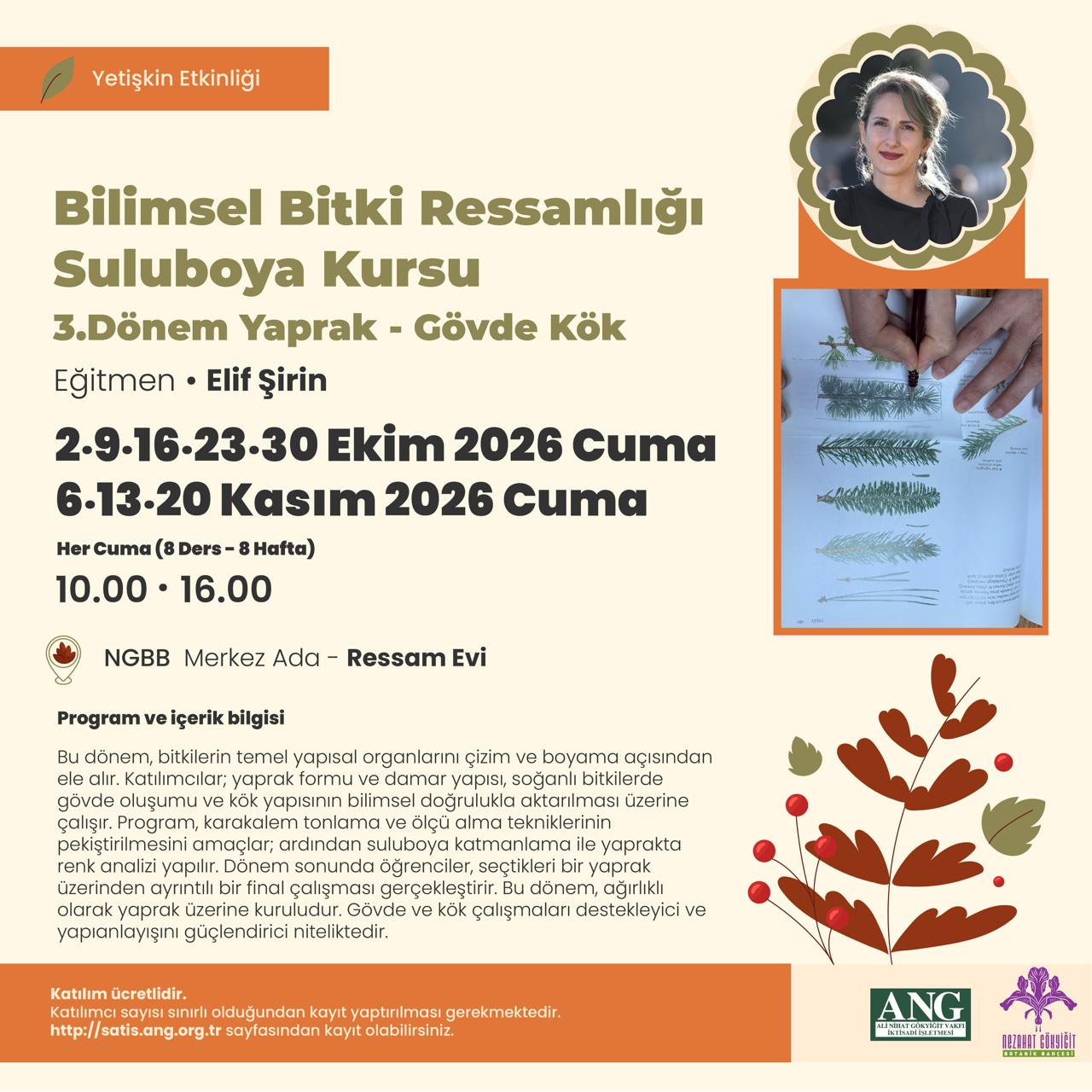 Bilimsel Bitki Ressamlığı Sulu Boya 3. Dönem — Yaprak Gövde Kök
