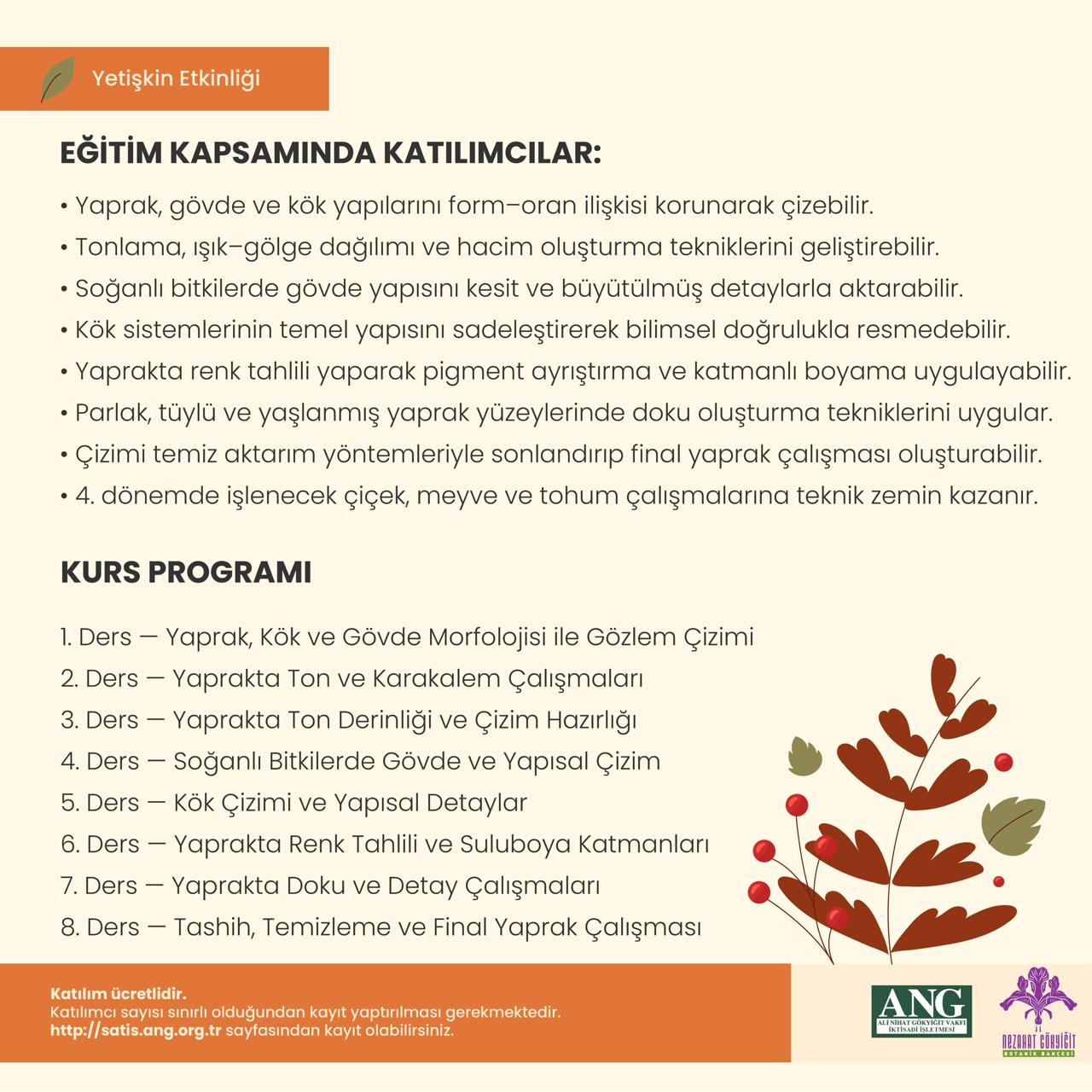 Bilimsel Bitki Ressamlığı Sulu Boya 3. Dönem — Yaprak Gövde Kök - Görsel 2